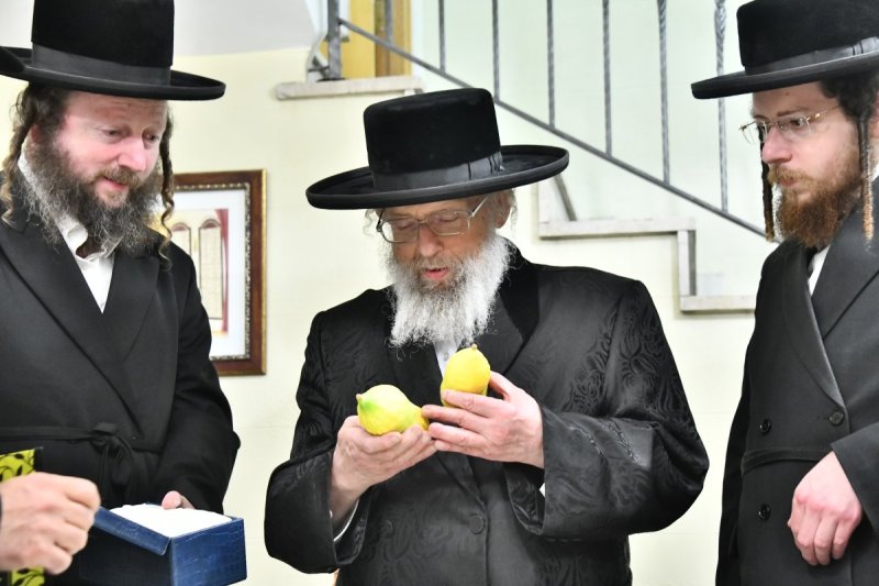 שוקי לרר