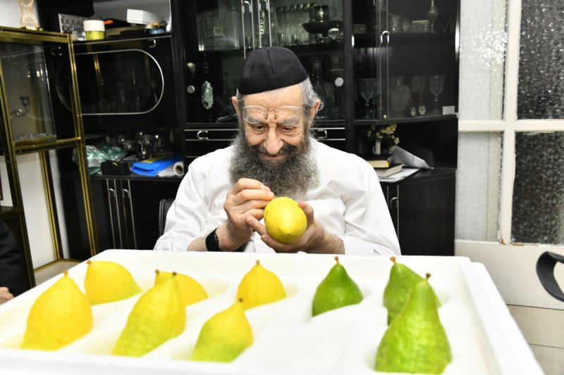 שוקי לרר