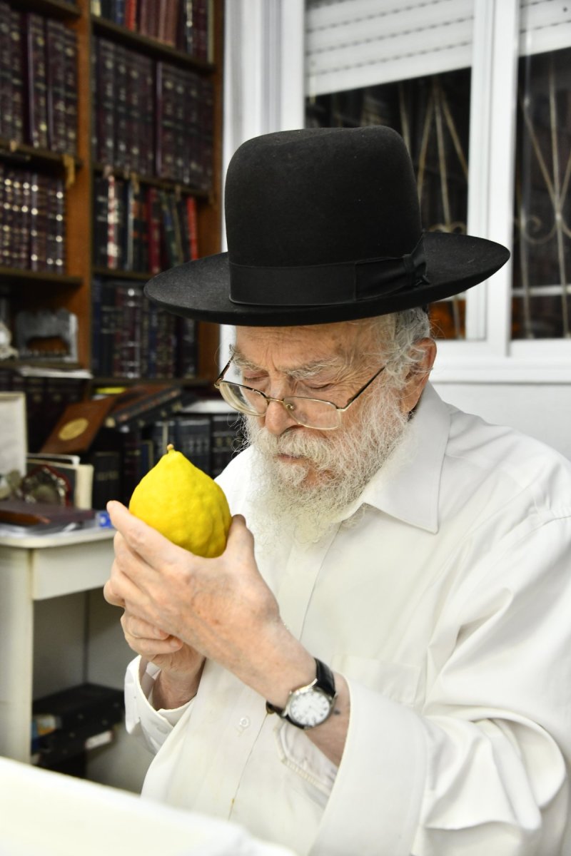 שוקי לרר