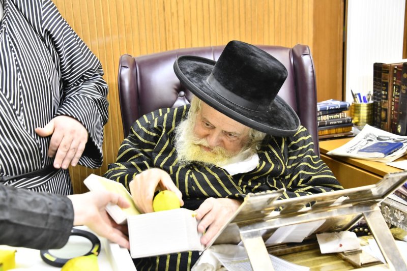 שוקי לרר