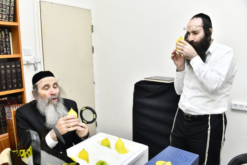 שוקי לרר