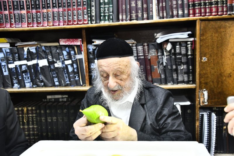 שוקי לרר