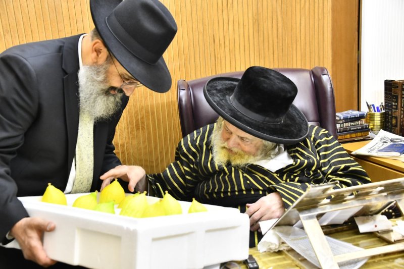 שוקי לרר