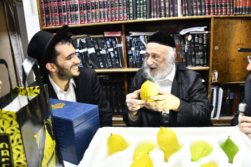 שוקי לרר