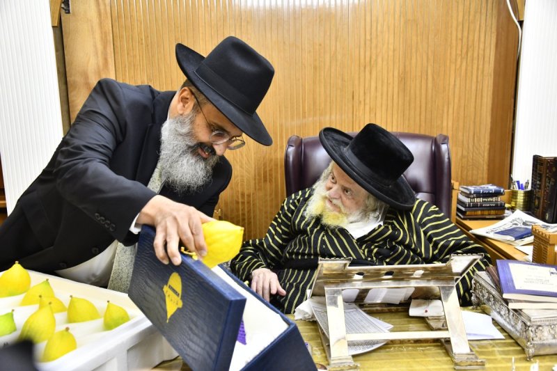 שוקי לרר