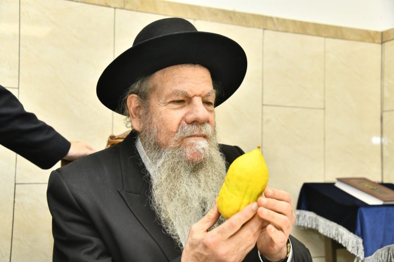 שוקי לרר