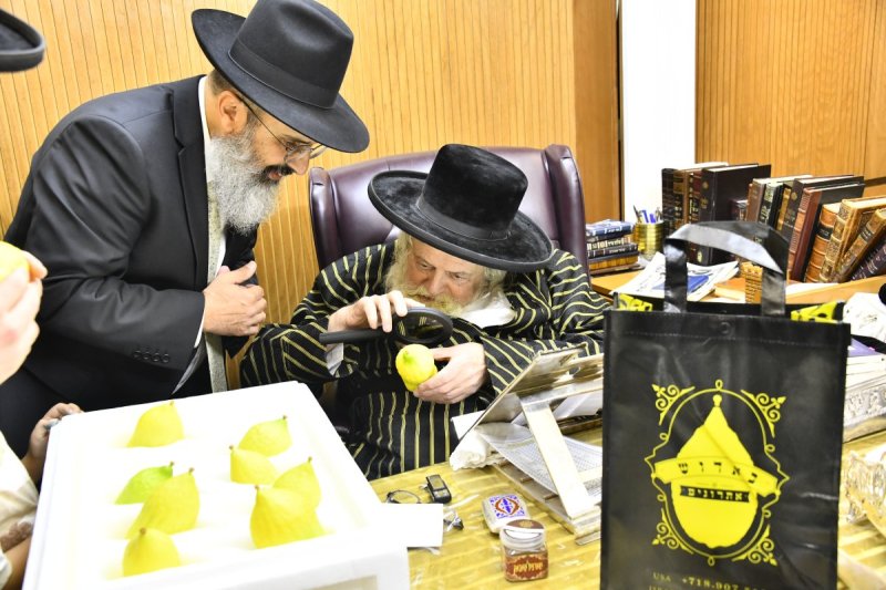 שוקי לרר
