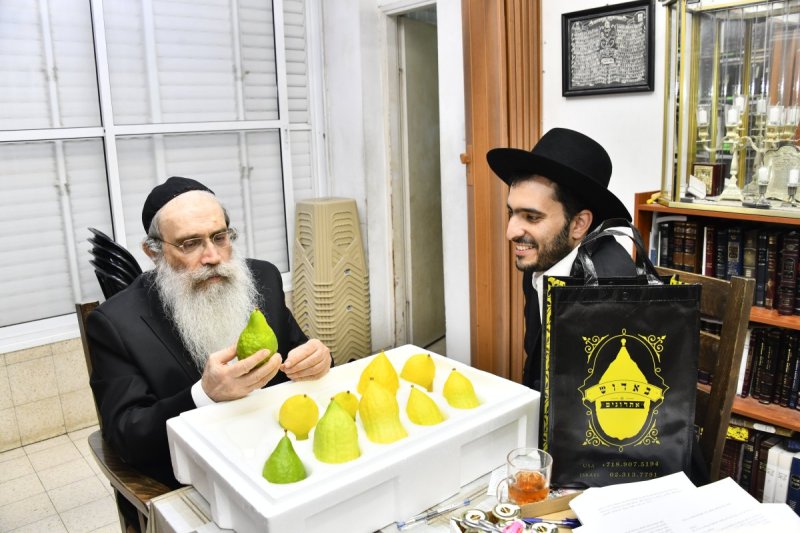 שוקי לרר