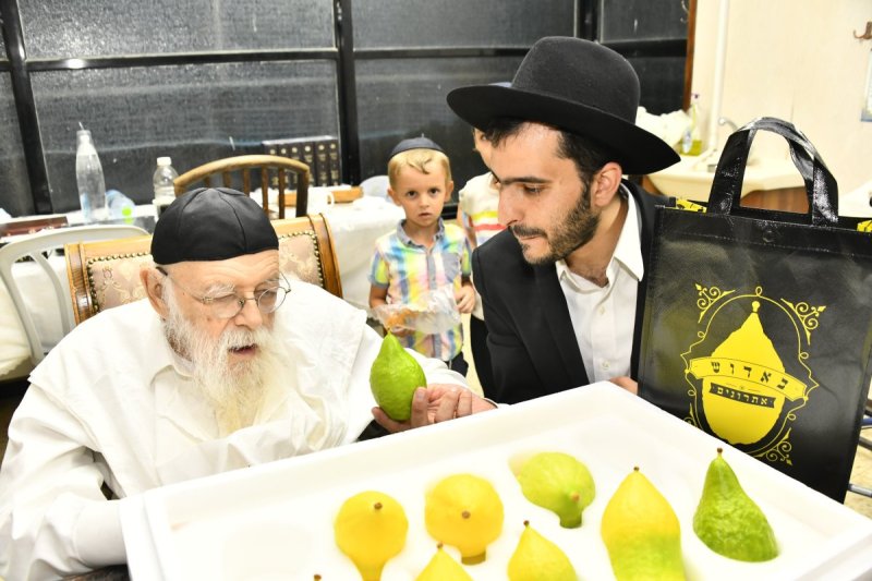 שוקי לרר
