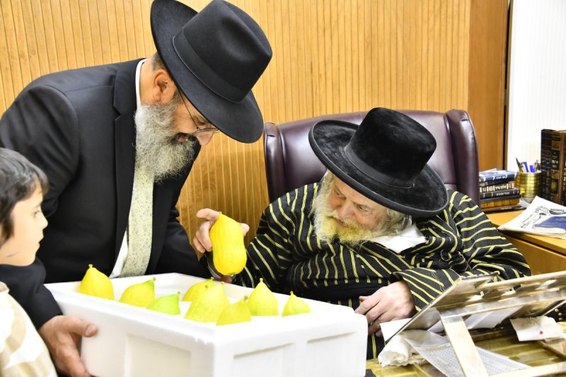 שוקי לרר
