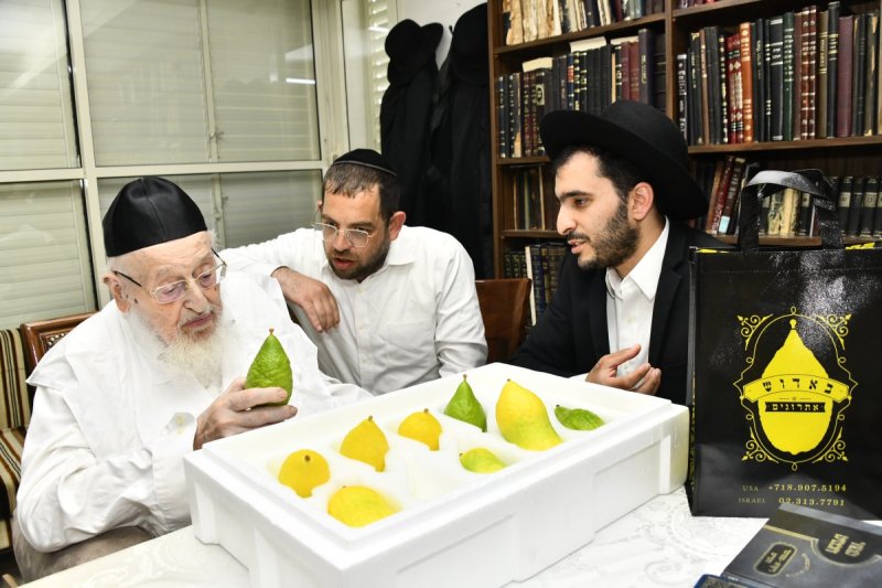 שוקי לרר