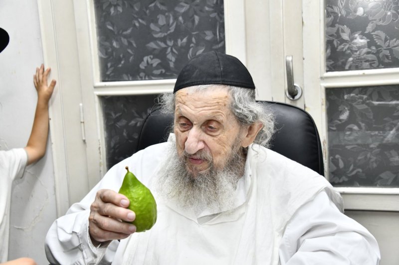 שוקי לרר