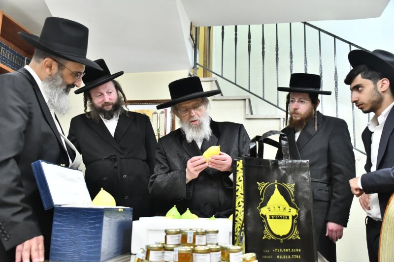 שוקי לרר
