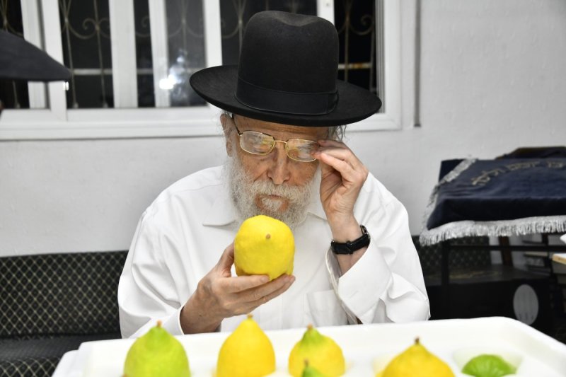 שוקי לרר