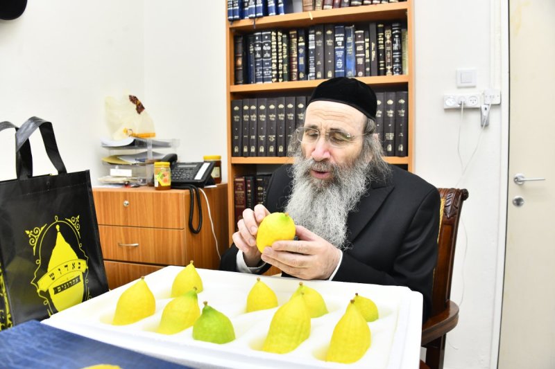 שוקי לרר