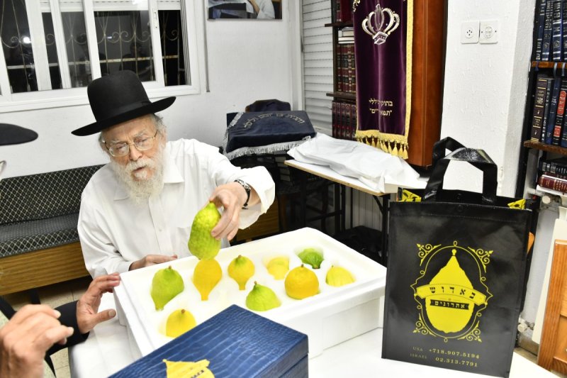שוקי לרר
