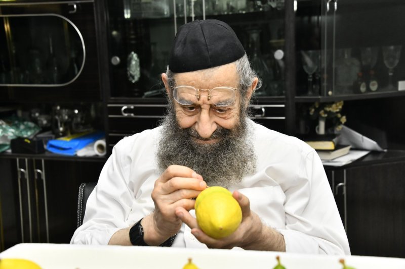 שוקי לרר