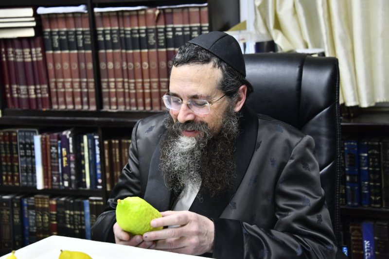שוקי לרר