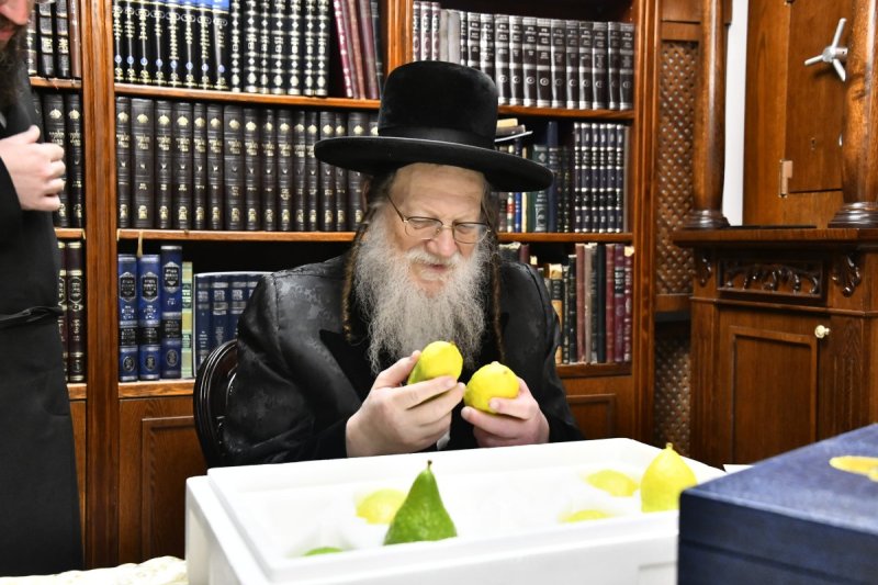 שוקי לרר