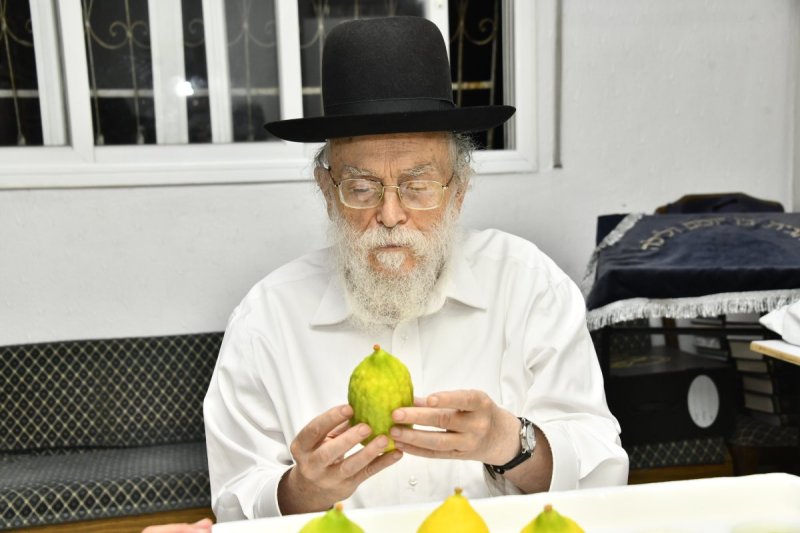 שוקי לרר