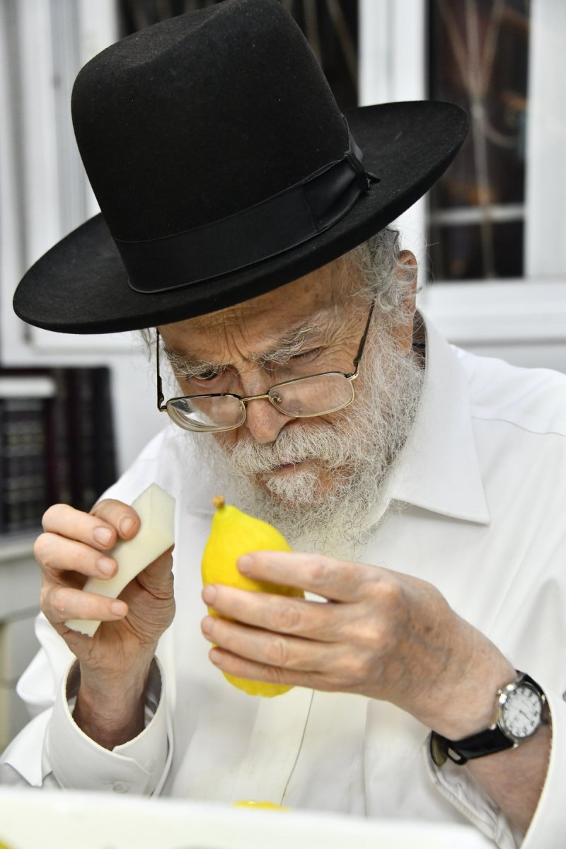 שוקי לרר