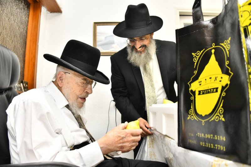 שוקי לרר