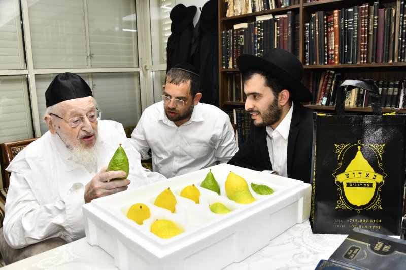 שוקי לרר