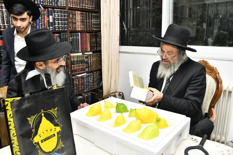 שוקי לרר