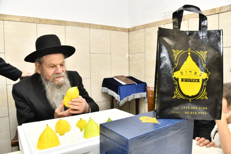 שוקי לרר