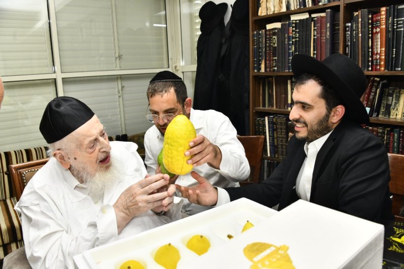 שוקי לרר