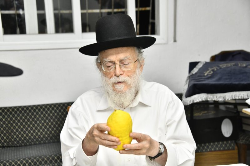שוקי לרר