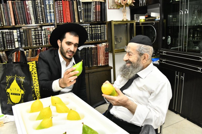 שוקי לרר