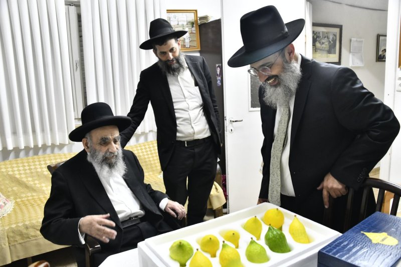 שוקי לרר