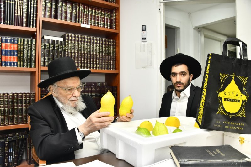 שוקי לרר