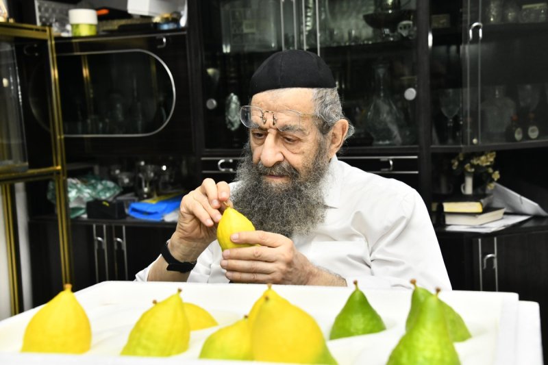 שוקי לרר