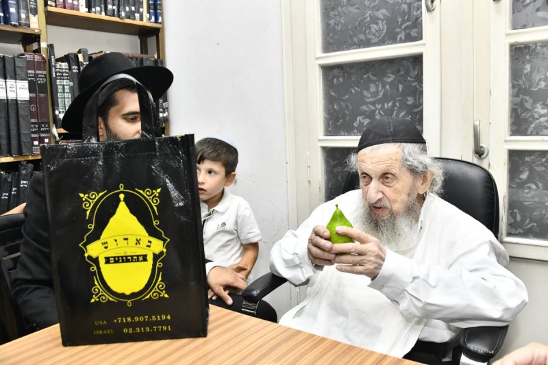 שוקי לרר