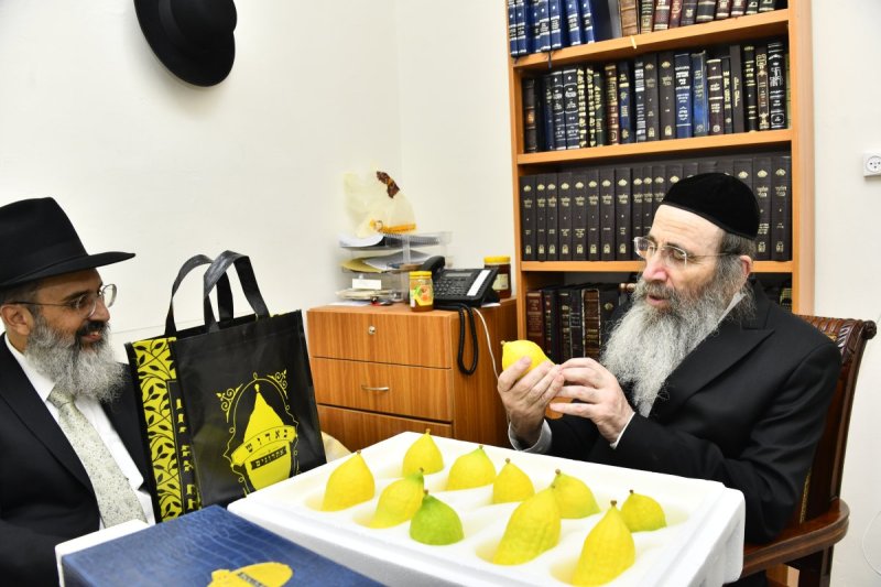 שוקי לרר