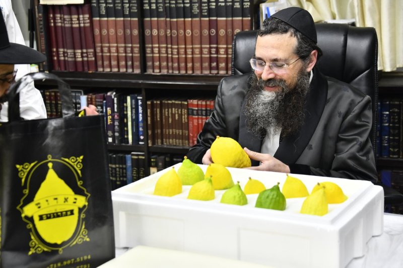 שוקי לרר