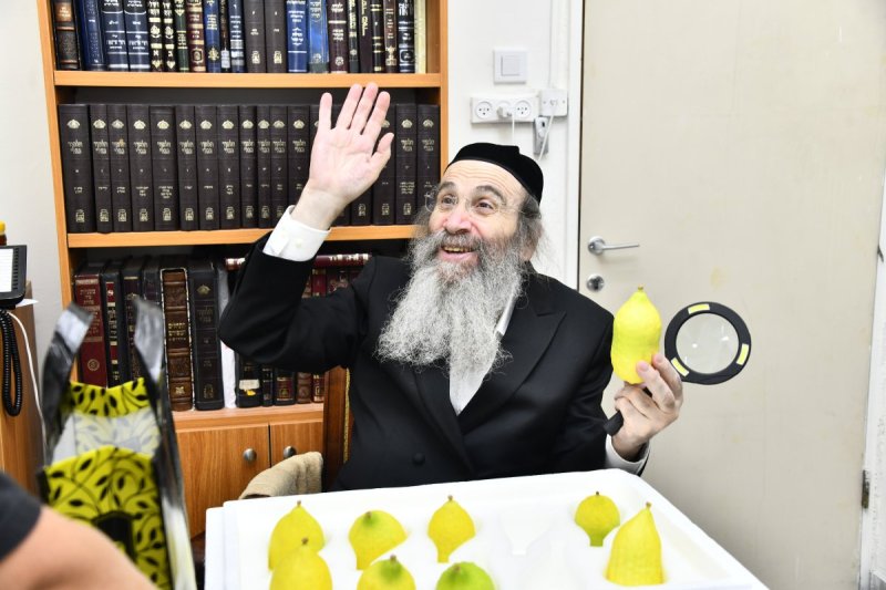 שוקי לרר