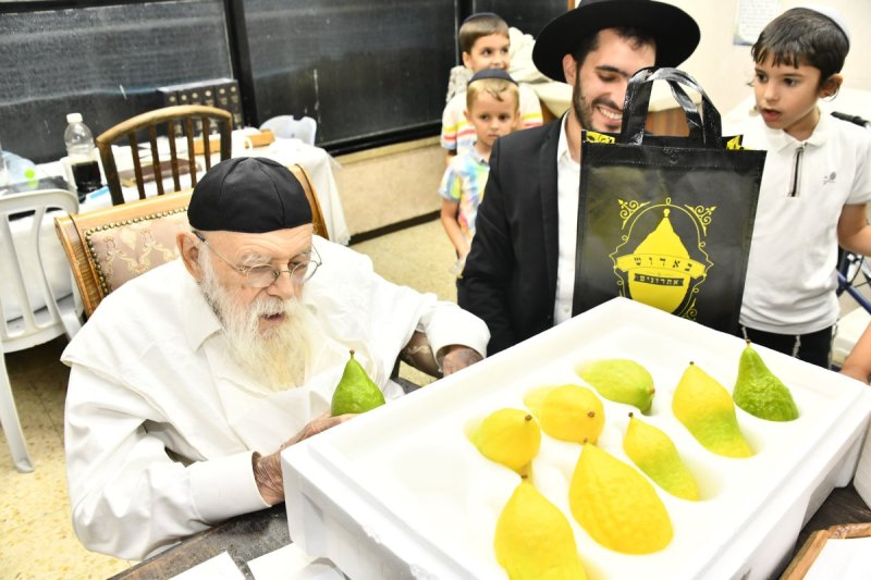 שוקי לרר
