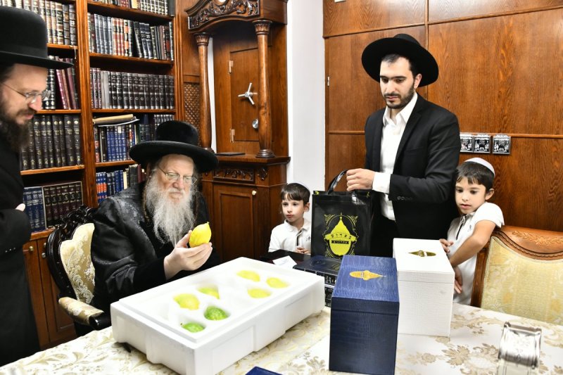 שוקי לרר