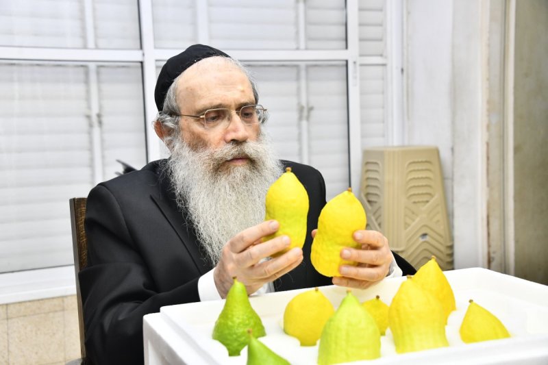 שוקי לרר