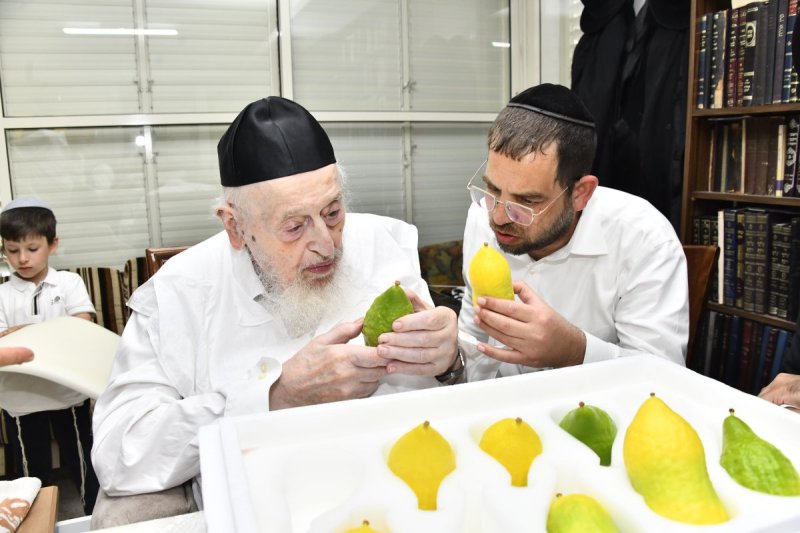 שוקי לרר