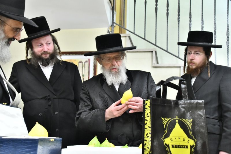 שוקי לרר