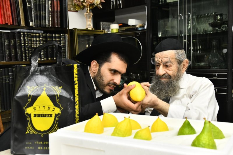 שוקי לרר