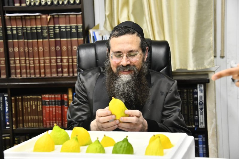 שוקי לרר