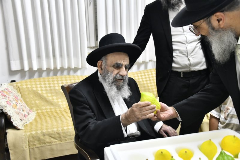 שוקי לרר