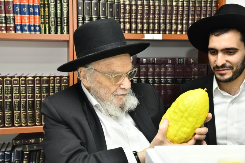 שוקי לרר
