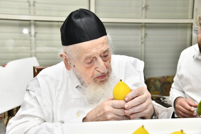 שוקי לרר