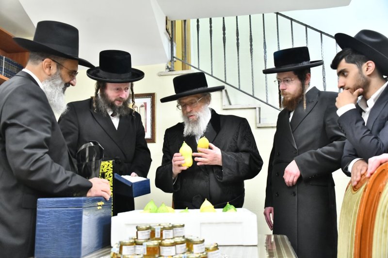 שוקי לרר